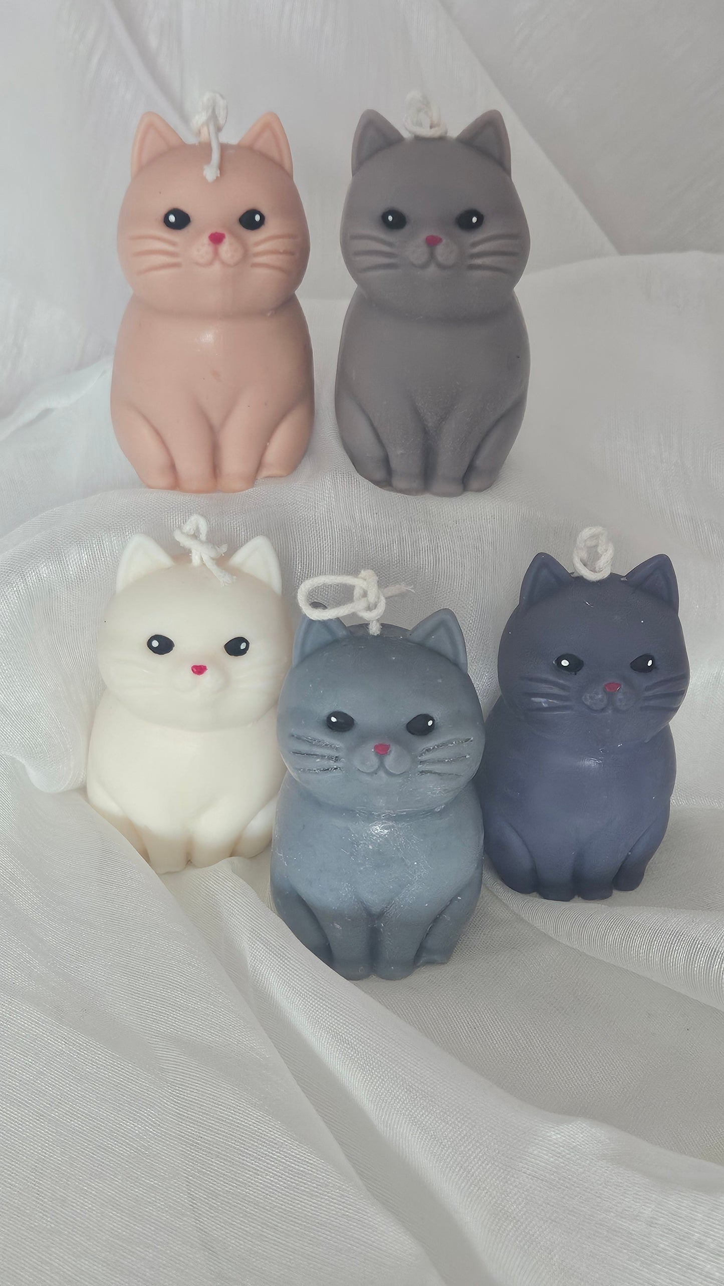 Meowlight