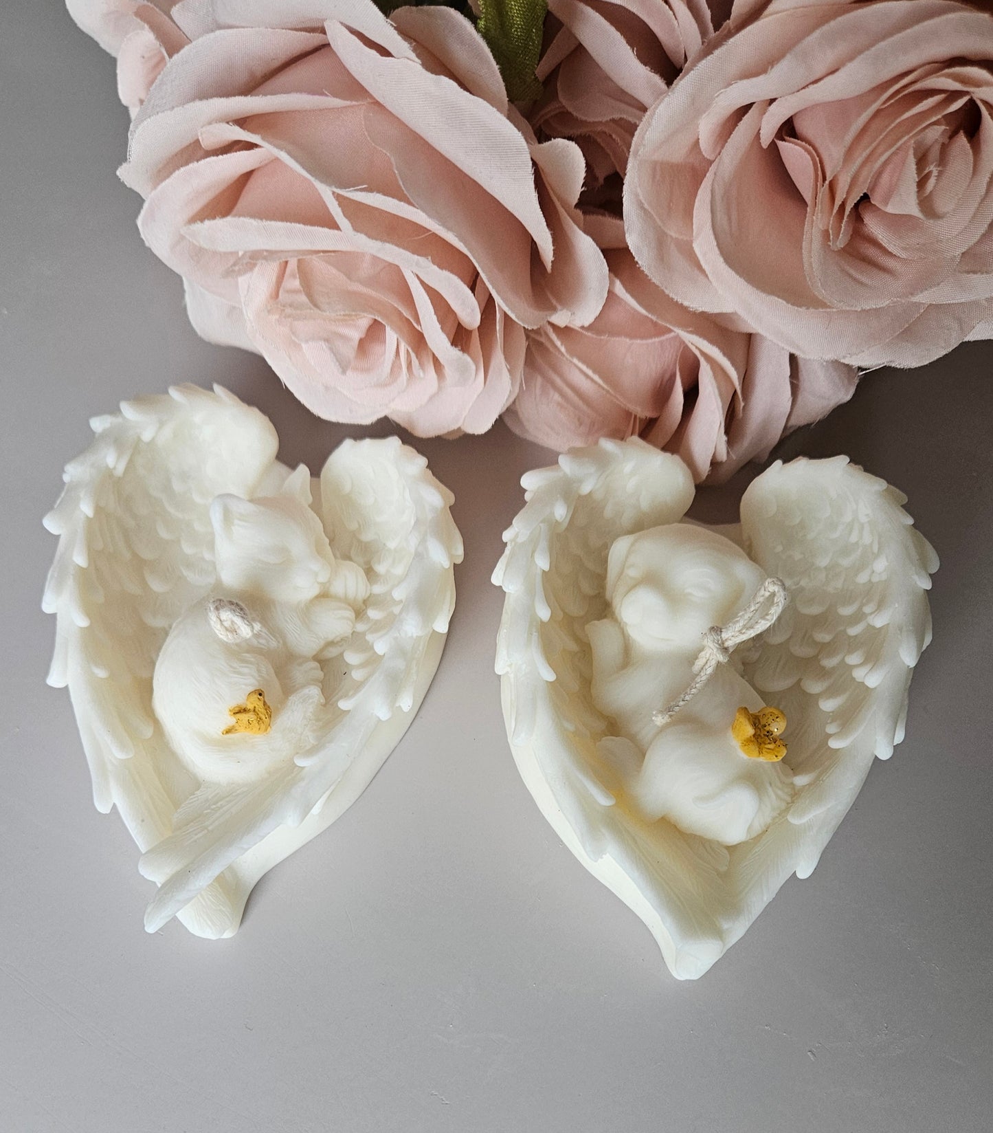 Hemelse Pootjes
