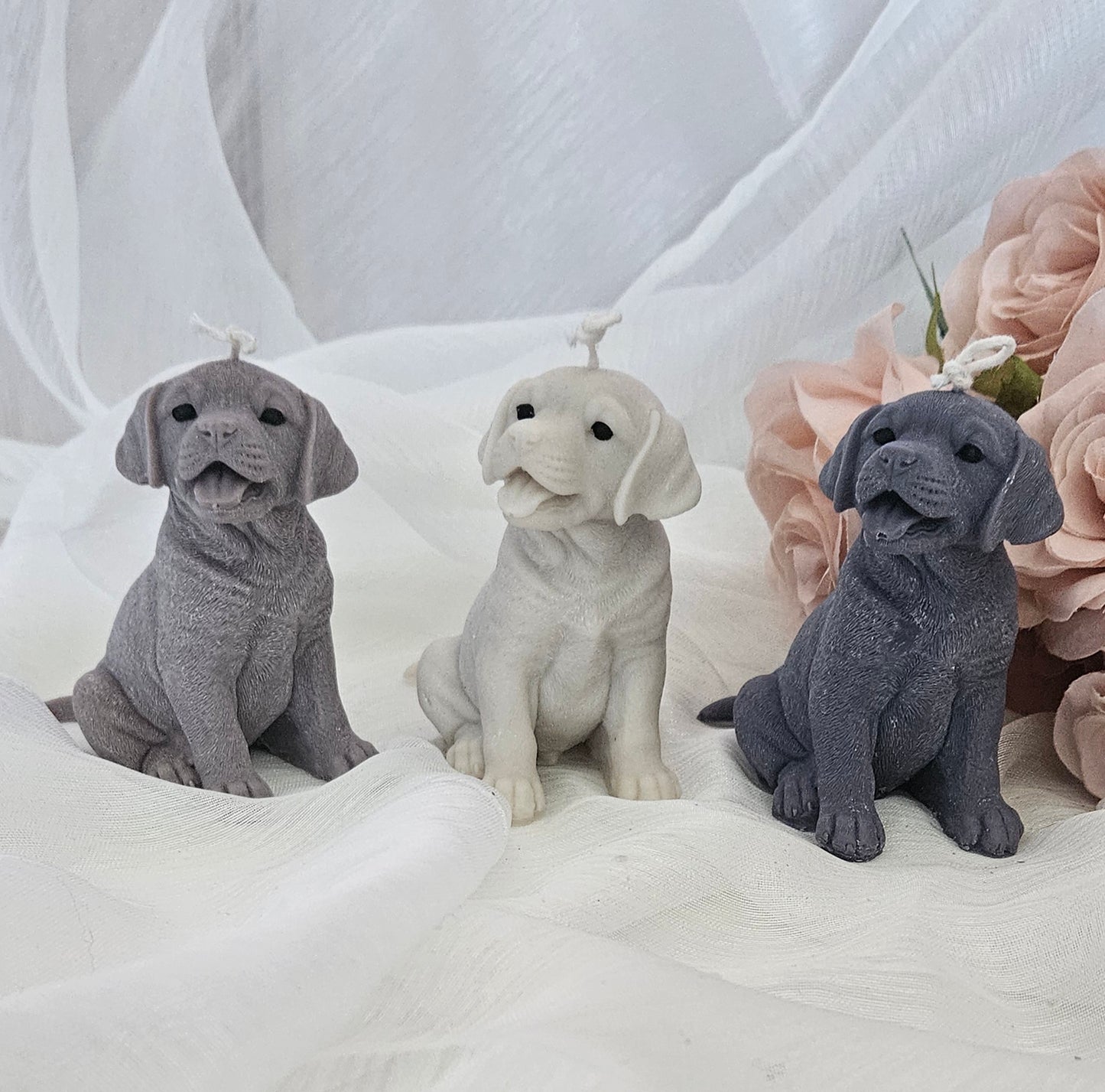 Honden kaars - Labrador