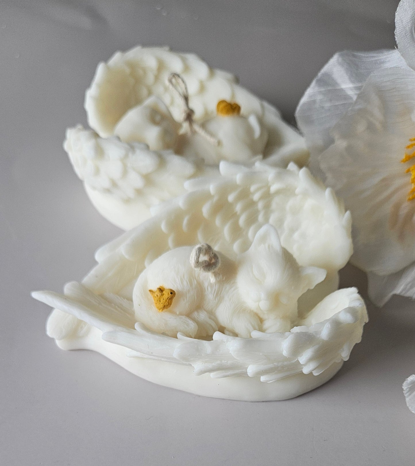 Hemelse Pootjes