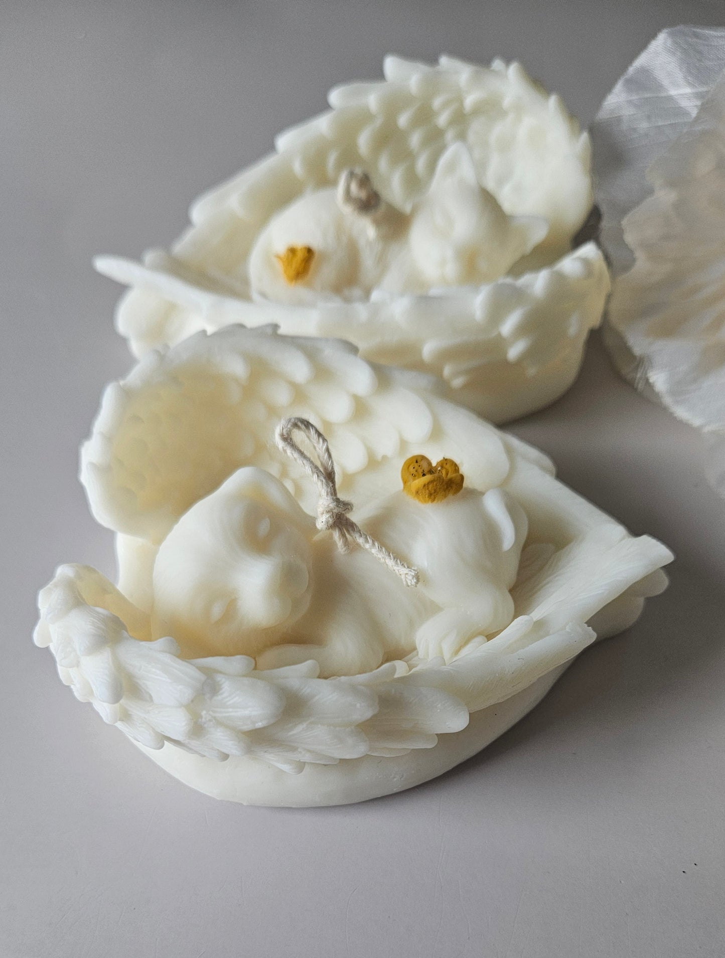 Hemelse Pootjes