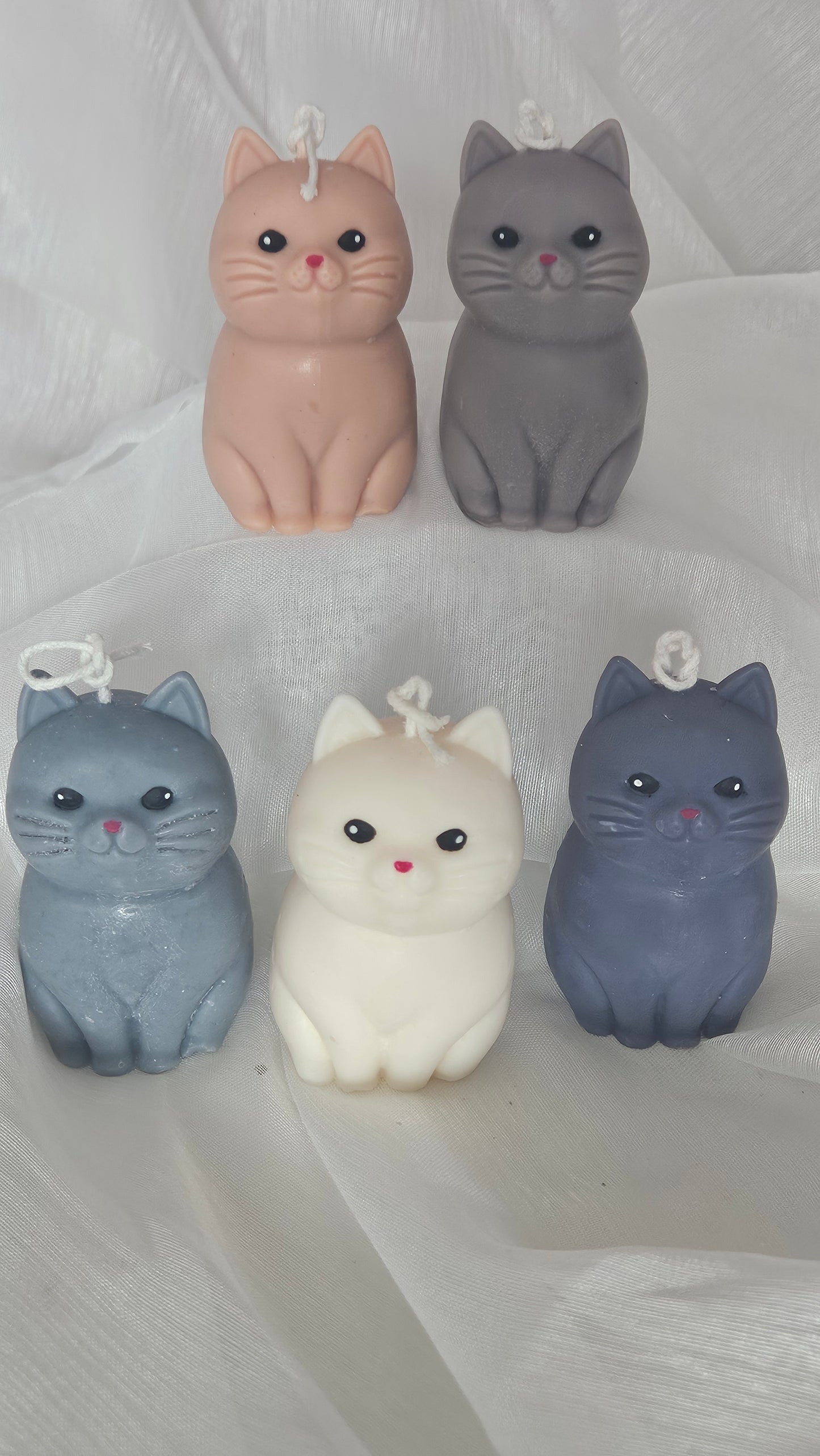 Meowlight