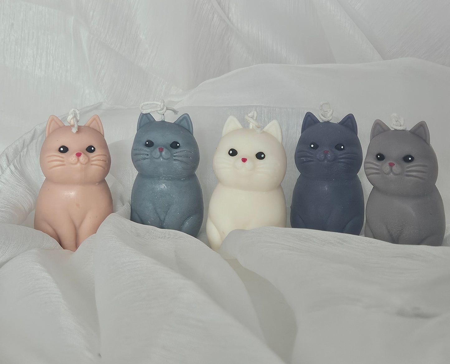 Meowlight