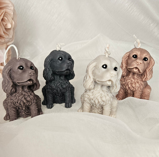 Cocker Spaniel