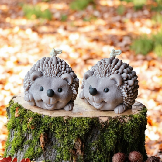 Autumn Hedgehog 🦔