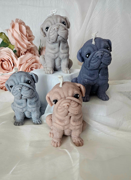 Honden kaars - Engelse Bulldog