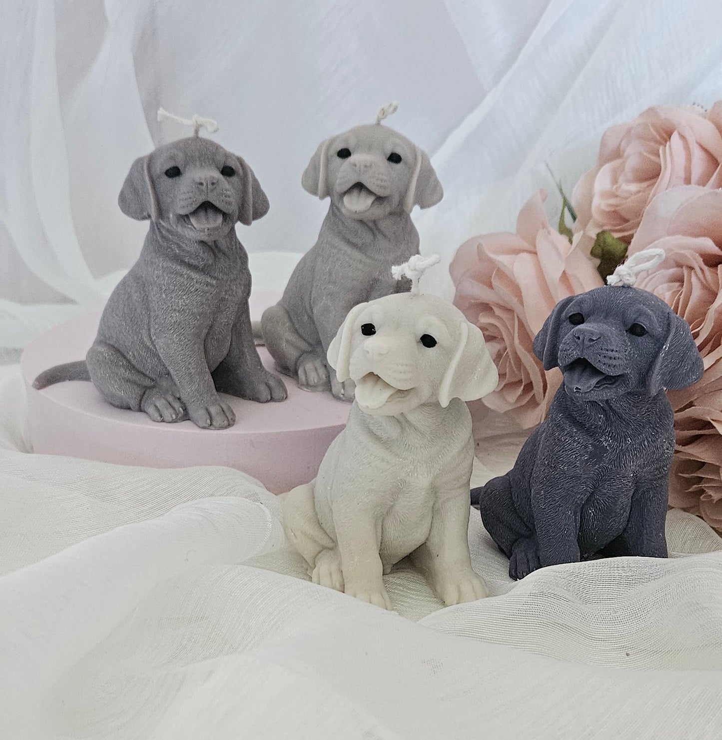 Honden kaars - Labrador