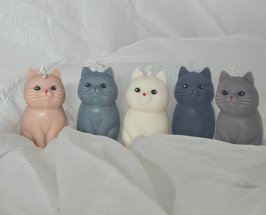 Meowlight